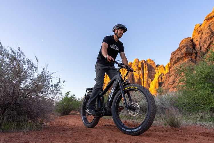 Bakcou Electric Bikes