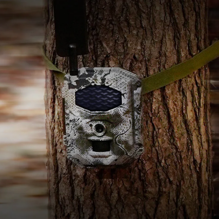 Trail Cameras