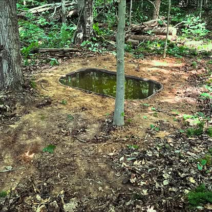 Deer Pond Installed in Forest Clearing, Blending Naturally with Surrounding Habitat