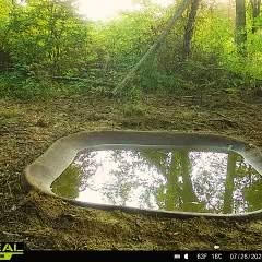 Close-Up of Deer Pond Filled with Water, Showing Sloped Entry and Realistic Dirt Texture