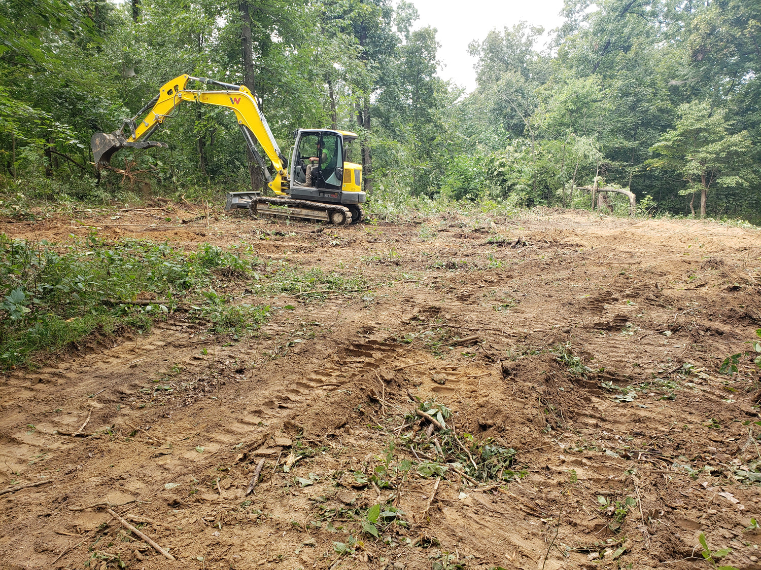 Excavator preparing hunting property for strategic food plot and habitat enhancement