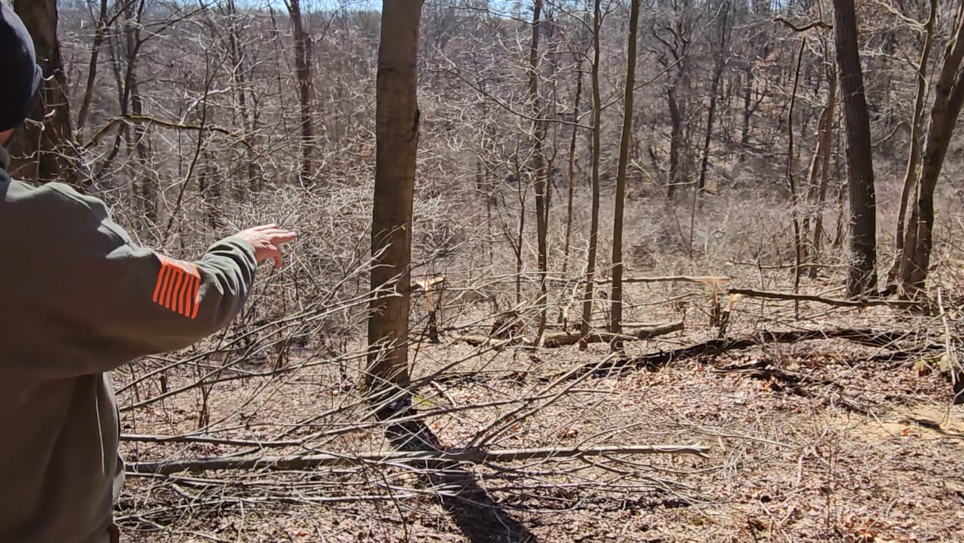 Whitetail land manager Chuck Main evaluating a habitat development area with cleared trees