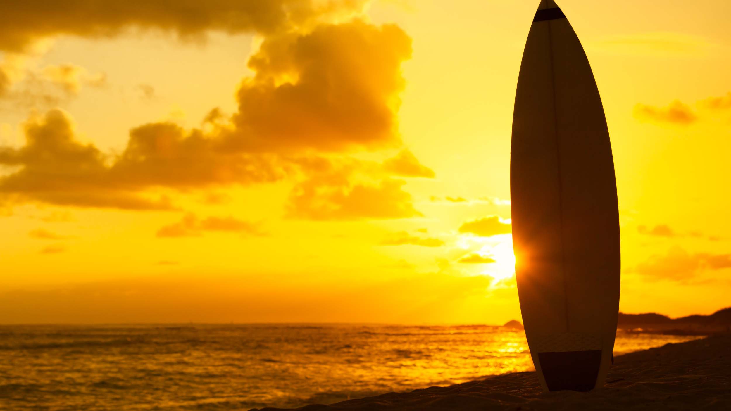 bajio surf collection landscape image ocean with surf board.