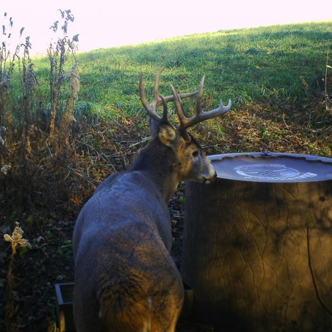 Wild Water 100 Watering System