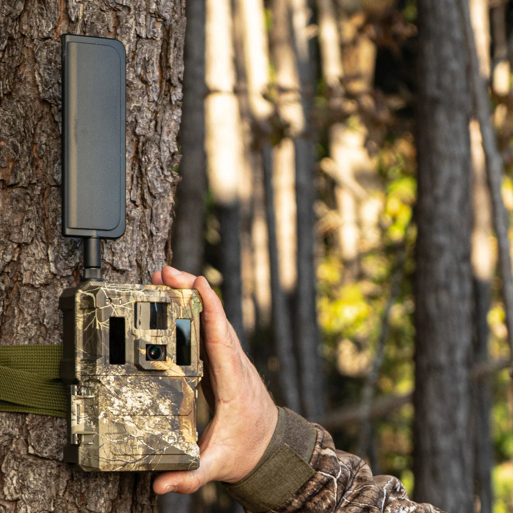 Spartan GoLive 2 trail camera mounted on a tree in Realtree Edge camo, blending seamlessly for covert wildlife monitoring.