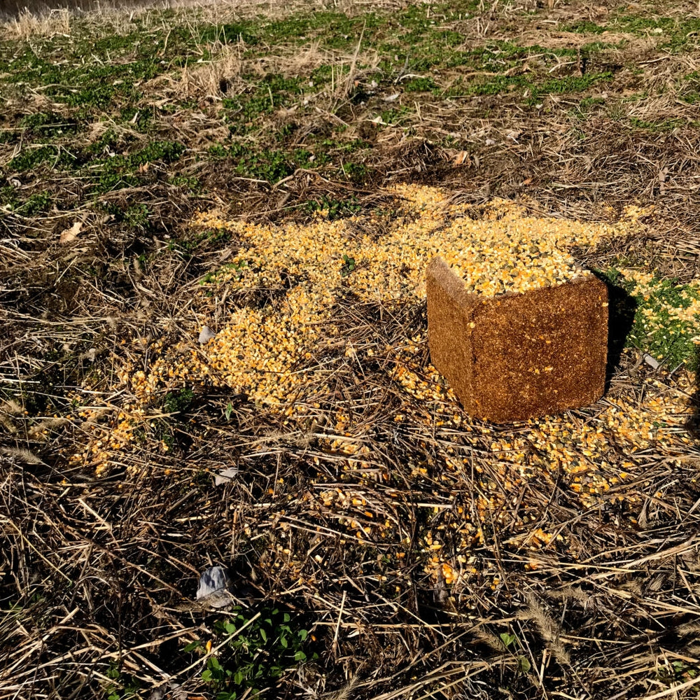 Ani-Protein block fortified with vitamins and minerals for deer outdoor pictute