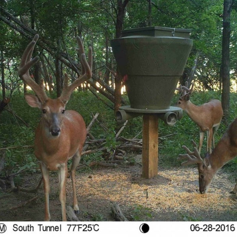 Banks Feedbank 600 Gravity Deer Feeder