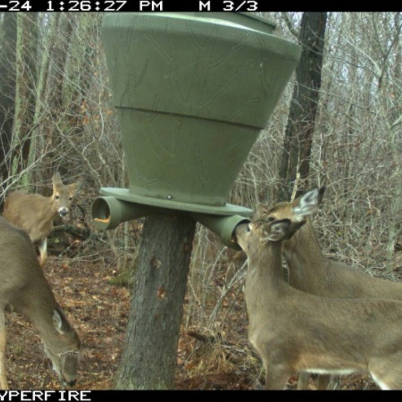 Banks Feedbank 600 Gravity Deer Feeder