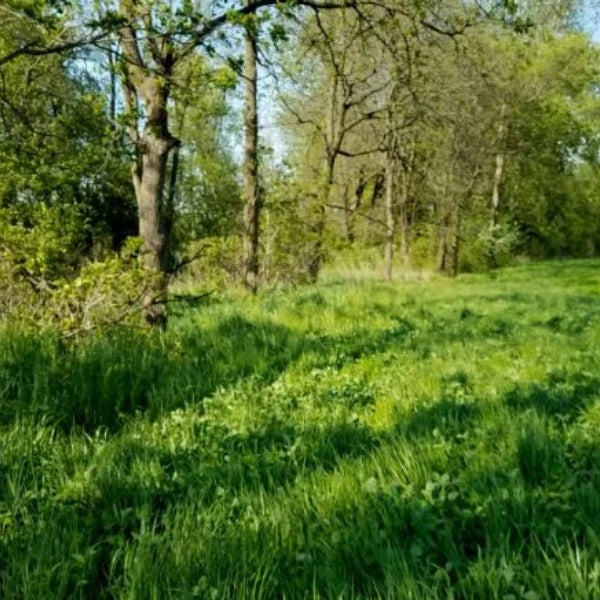 Grandpa Ray Outdoors logging trail mix perennial blend