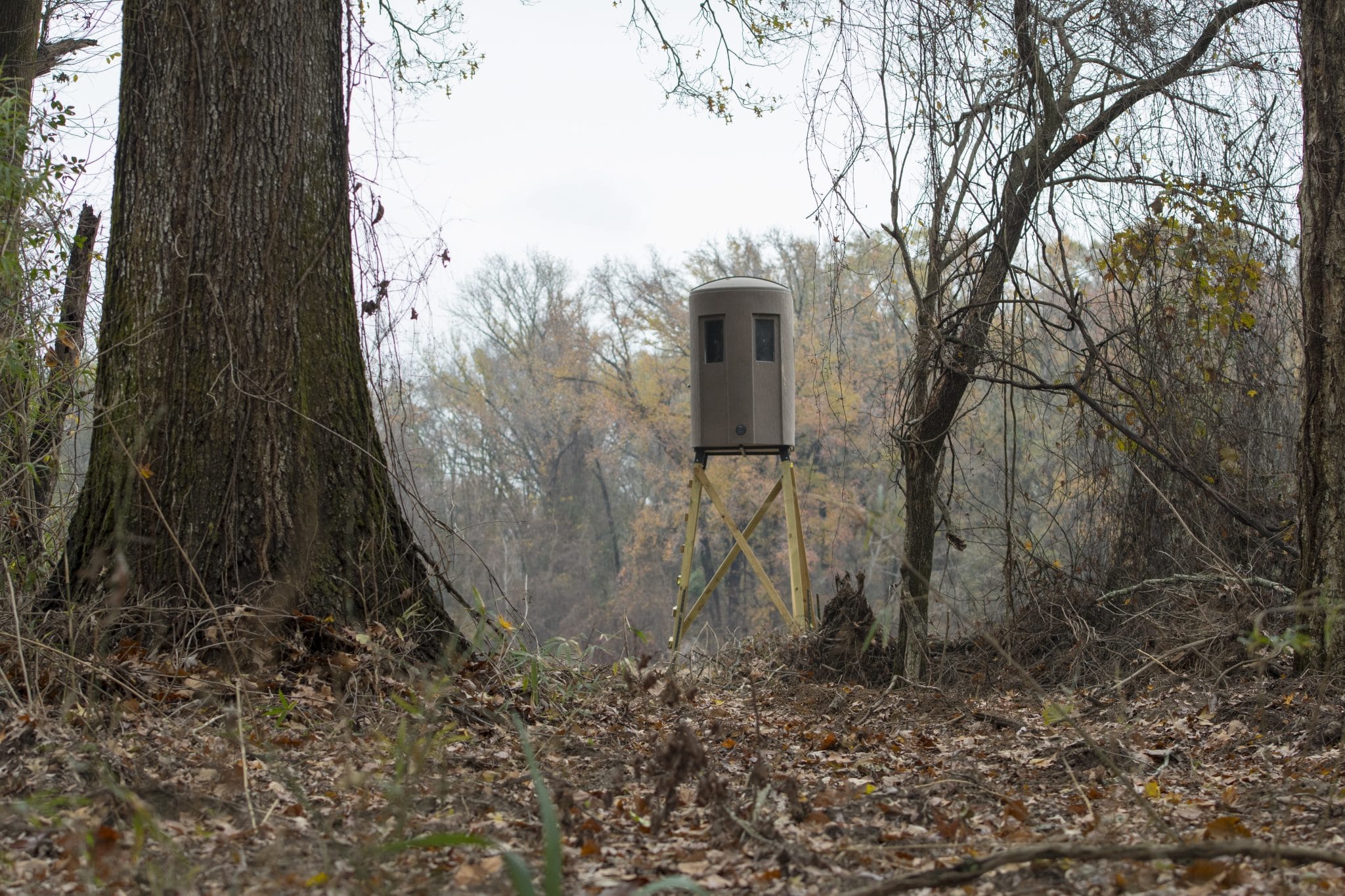 Hunting Blind Stump 2 in the woods