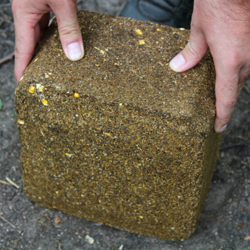 Ani-Logics Crush Acorn Block Unwrapped in the Field – Hard-Pressed Acorn-Flavored Deer Attractant for Year-Round Wildlife Feeding